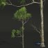 spring trees 2 - Thumbnail 5