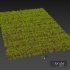 Grass Linear Meadow - Thumbnail 5