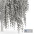 Prunus Spinosa and Weeping Willow - Thumbnail 7