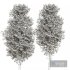 Tree Set 02 - Thumbnail 2