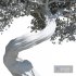 Tree Set 1 - Thumbnail 3