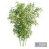 Bamboo Bush | PBR 4K Materials - Thumbnail 2