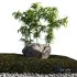 Japanese Rock Zen Garden 03 - Thumbnail 2