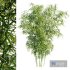 Bamboo Bush | PBR 4K Materials - Thumbnail 1