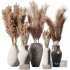 Indoor Plant Pampas Set - Thumbnail 3