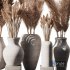 Indoor Plant Pampas Set - Thumbnail 1