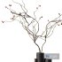 Dry Branches Bouquet - Thumbnail 2