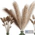 Decorative Pampas Bouquet - Thumbnail 3