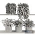 Plants on Shelf SetV4 - Thumbnail 5