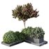 HQ Tree and bush garden box outdoor VOL 06 - Thumbnail 1