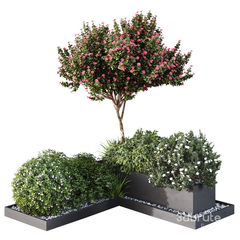 HQ Tree and bush garden box outdoor VOL 06 Image 1