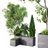 HQ Tree and bush garden box outdoor VOL 03 - Thumbnail 1