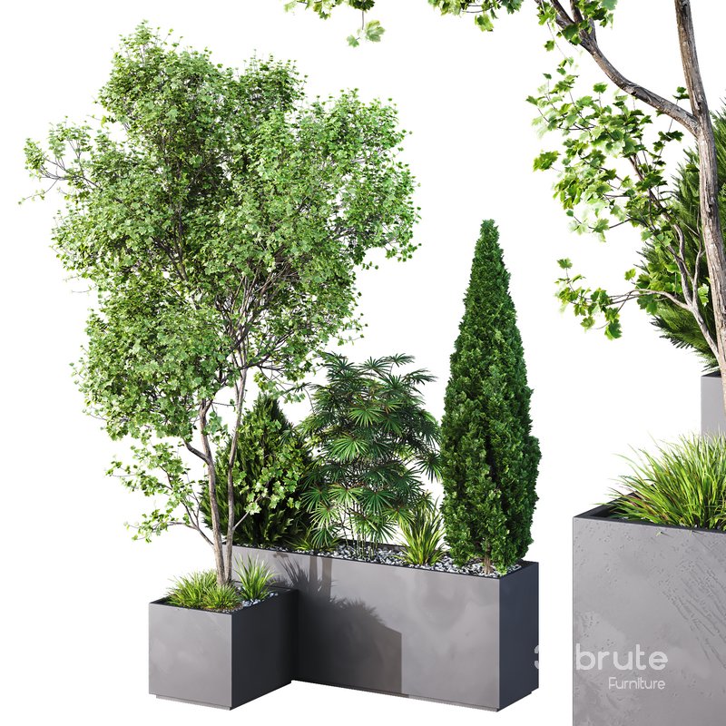 HQ Tree and bush garden box outdoor VOL 03 Image 1