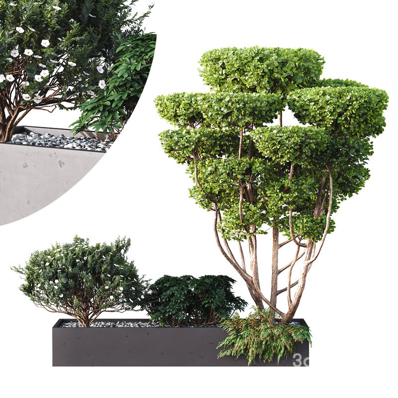 HQ Tree and bush garden box outdoor VOL 02 Image 1