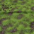 Grass Green Moss Grow Old Ground - Thumbnail 1