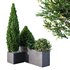 HQ Tree and bush garden box outdoor VOL 04 - Thumbnail 1