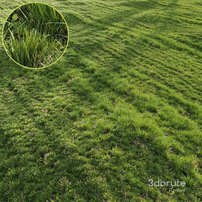 Grass Agricultural Field Image 2