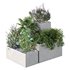 HQ Tree and bush garden box outdoor VOL 07 - Thumbnail 1