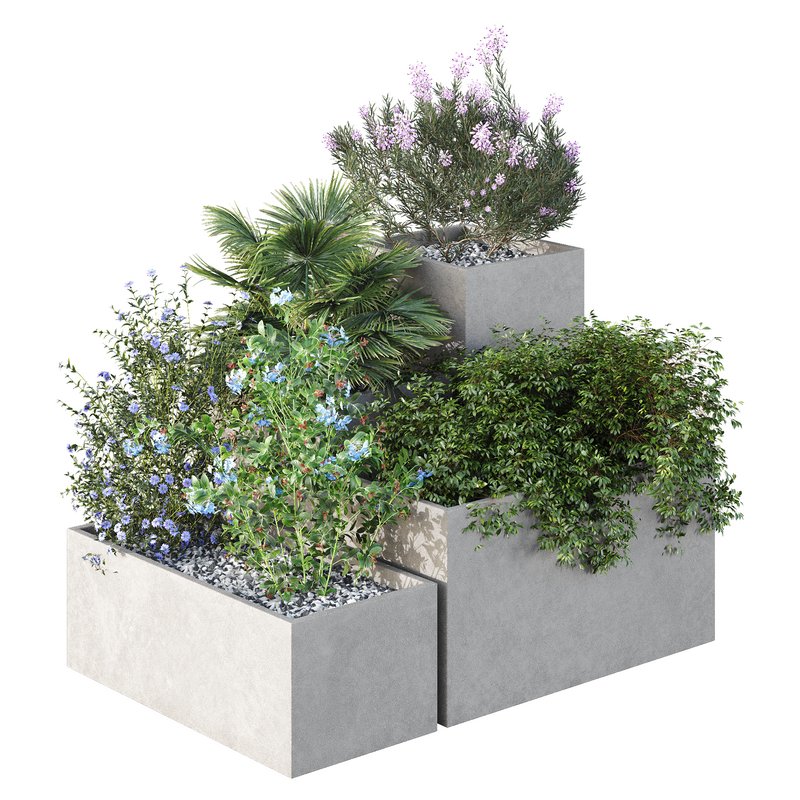 HQ Tree and bush garden box outdoor VOL 07 Image 1