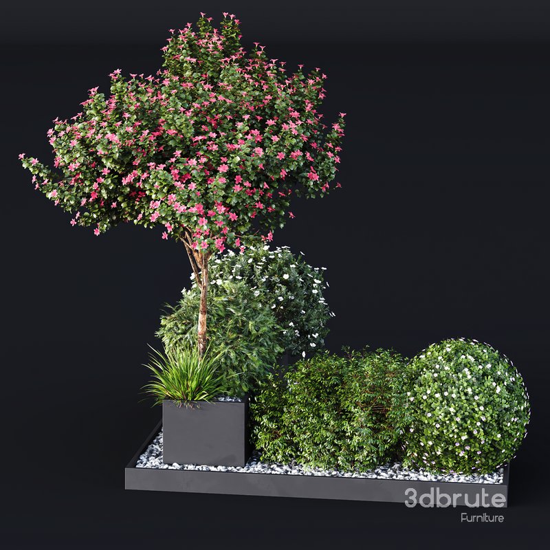 HQ Tree and bush garden box outdoor VOL 06 Image 2