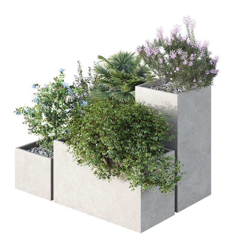 HQ Tree and bush garden box outdoor VOL 07 Image 2