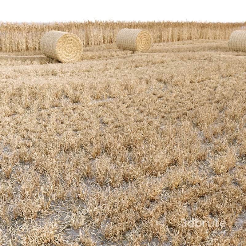 HQ Grass Round Hay Bale Farm Ground Image 2