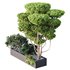 HQ Tree and bush garden box outdoor VOL 02 - Thumbnail 2