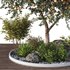 HQ Tree and bush garden box outdoor VOL 01 - Thumbnail 5