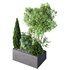 HQ Tree and bush garden box outdoor VOL 03 - Thumbnail 2
