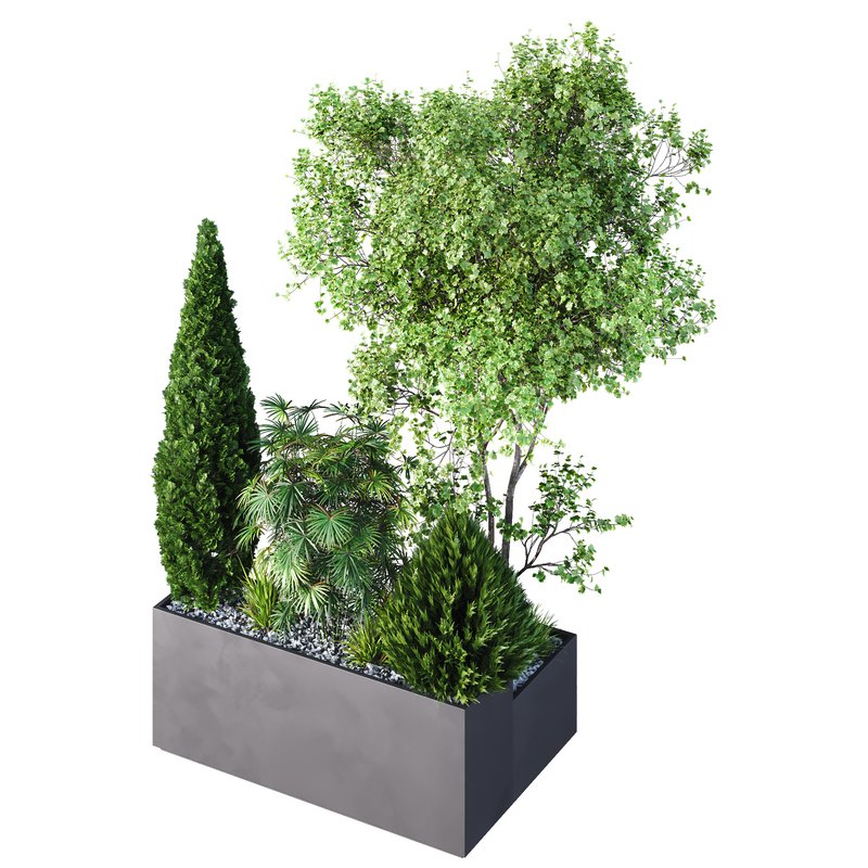 HQ Tree and bush garden box outdoor VOL 03 Image 2