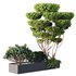 HQ Tree and bush garden box outdoor VOL 02 - Thumbnail 3
