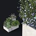 HQ Tree and bush garden box outdoor VOL 07 - Thumbnail 4