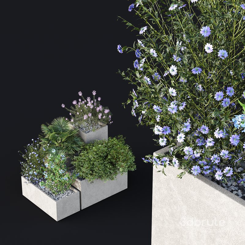 HQ Tree and bush garden box outdoor VOL 07 Image 4