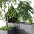 HQ Tree and bush garden box outdoor VOL 03 - Thumbnail 4