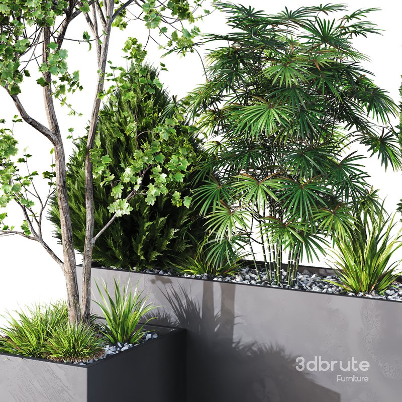 HQ Tree and bush garden box outdoor VOL 03 Image 4