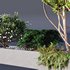 HQ Tree and bush garden box outdoor VOL 02 - Thumbnail 4
