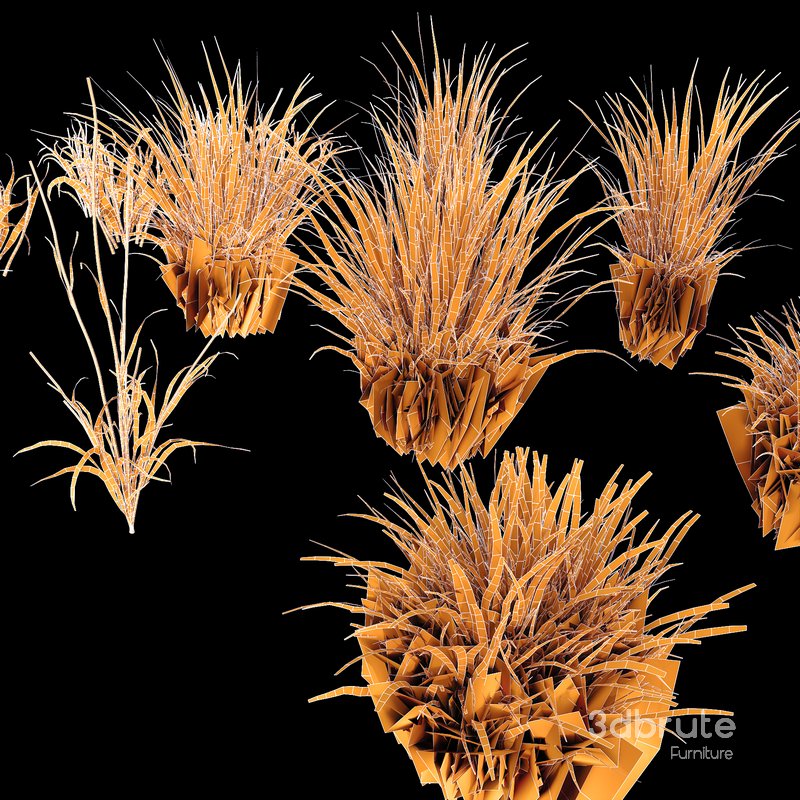 Grass Agricultural Field Image 5