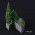 HQ Tree and bush garden box outdoor VOL 04 - Thumbnail 4