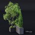 HQ Tree and bush garden box outdoor VOL 03 - Thumbnail 3
