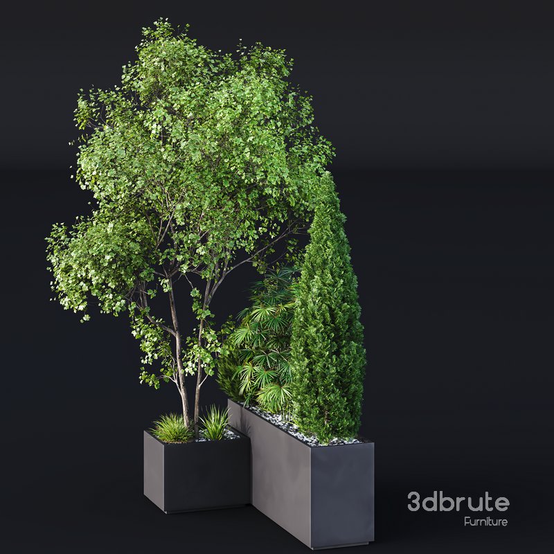 HQ Tree and bush garden box outdoor VOL 03 Image 3