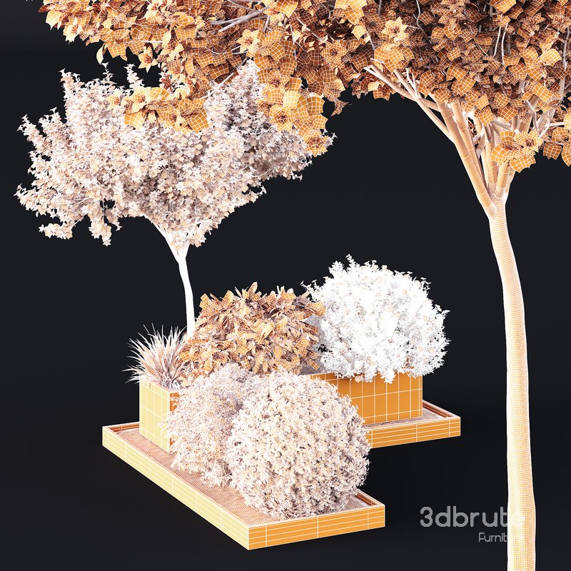 HQ Tree and bush garden box outdoor VOL 06 Image 4