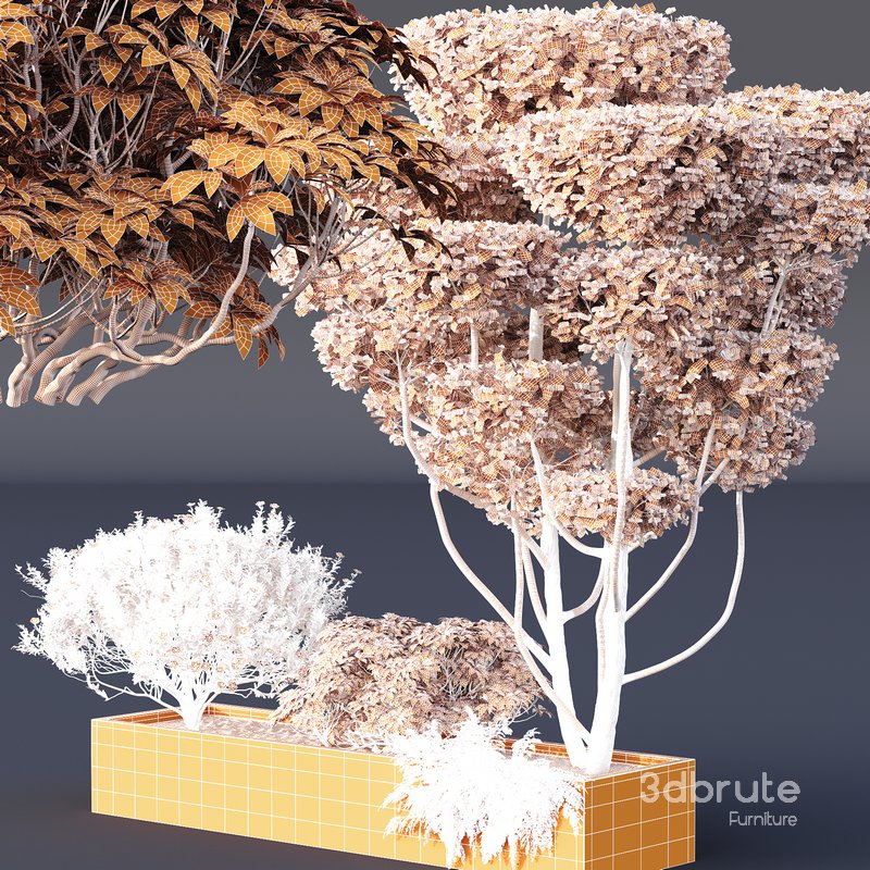 HQ Tree and bush garden box outdoor VOL 02 Image 5