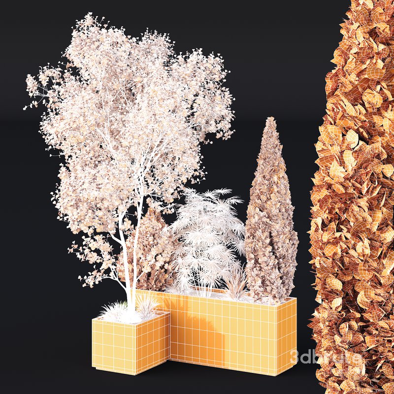 HQ Tree and bush garden box outdoor VOL 03 Image 5