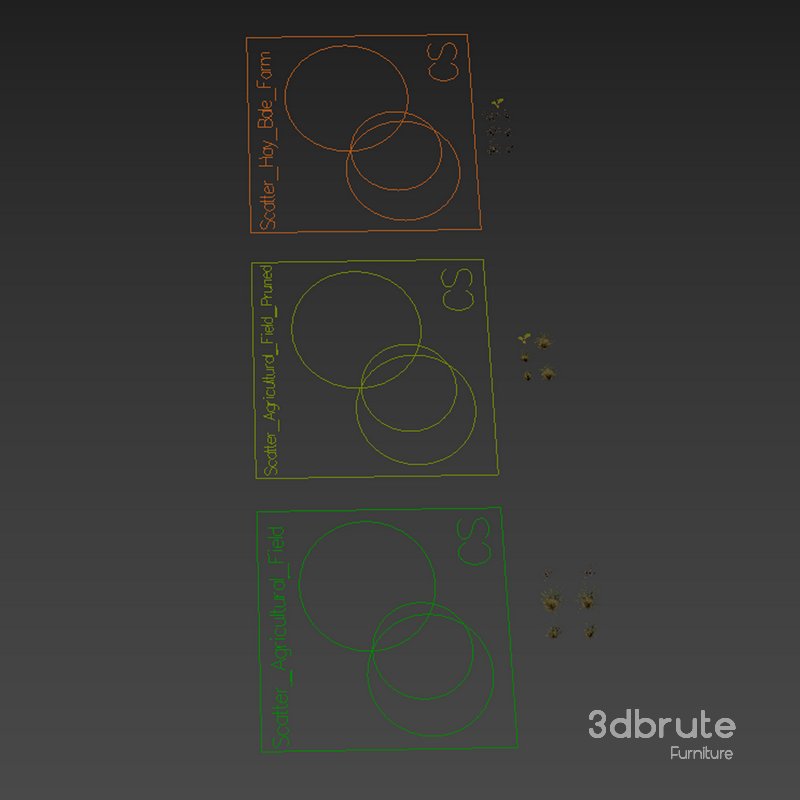 Grass Agricultural Field Image 3