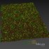 Grass Agricultural Field - Thumbnail 6