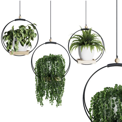 Hanging Indoor Plant – SetV2