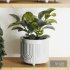 Plants on Shelf SetV2 - Thumbnail 2