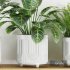 Plants on Shelf SetV2 - Thumbnail 4