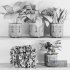 Plants on Shelf SetV2 - Thumbnail 6