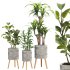Indoor Plant Set V3 - Thumbnail 1